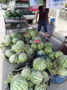 三亚网红吃瓜事件,一场网络舆论的发酵与反思